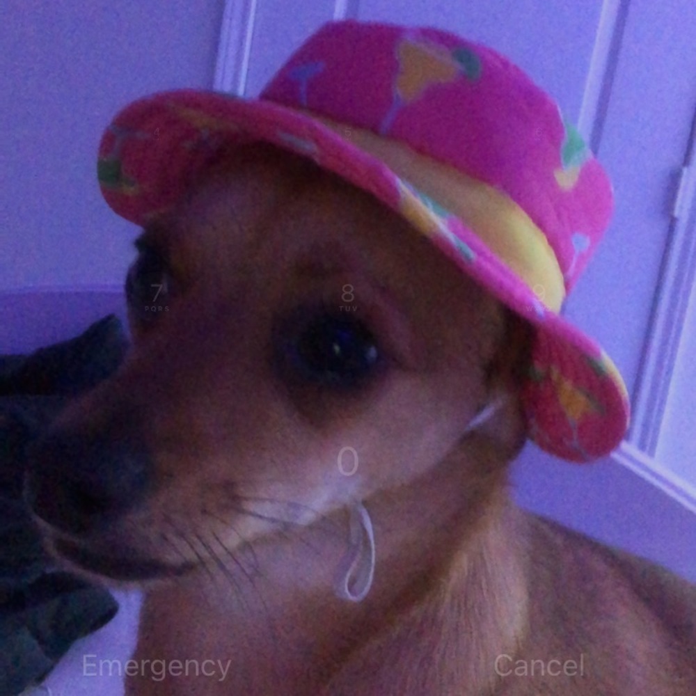 Meet your Posher, Morgan